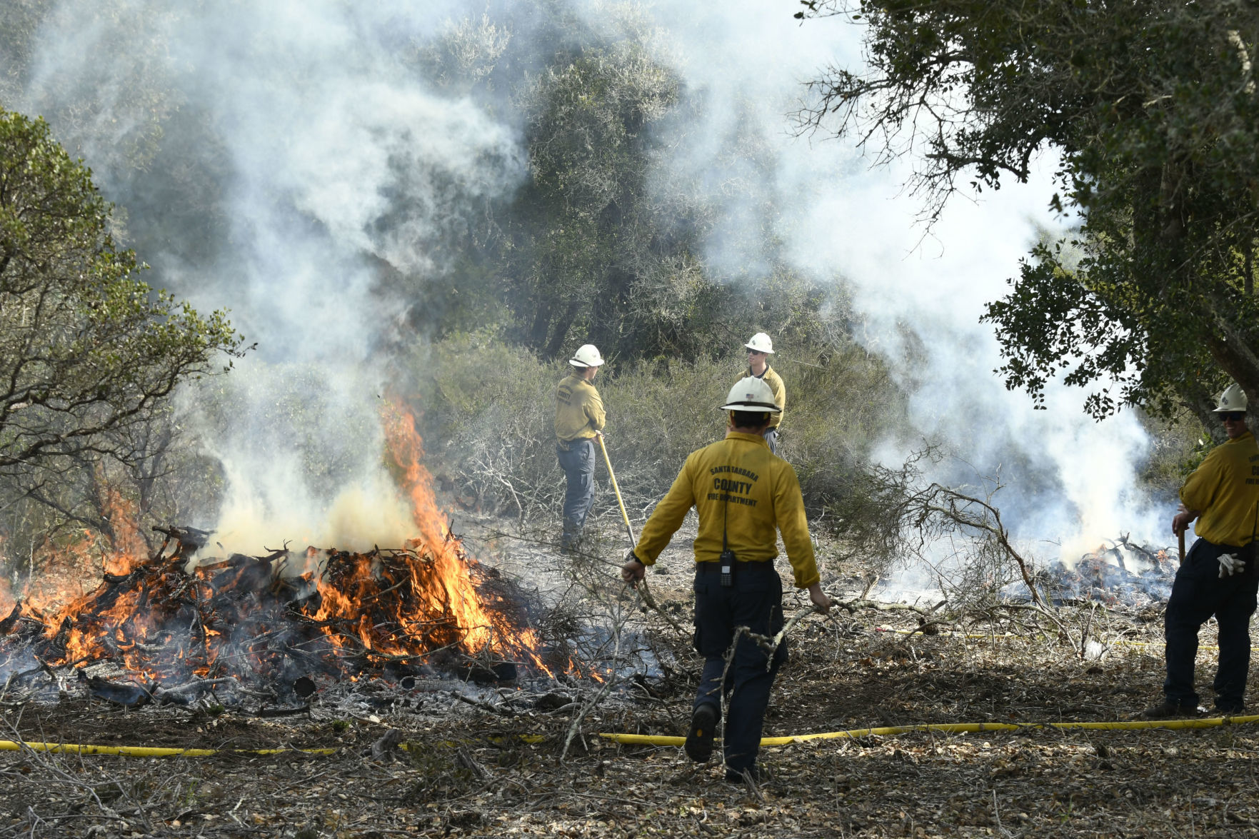 Burton Mesa Pile Burning